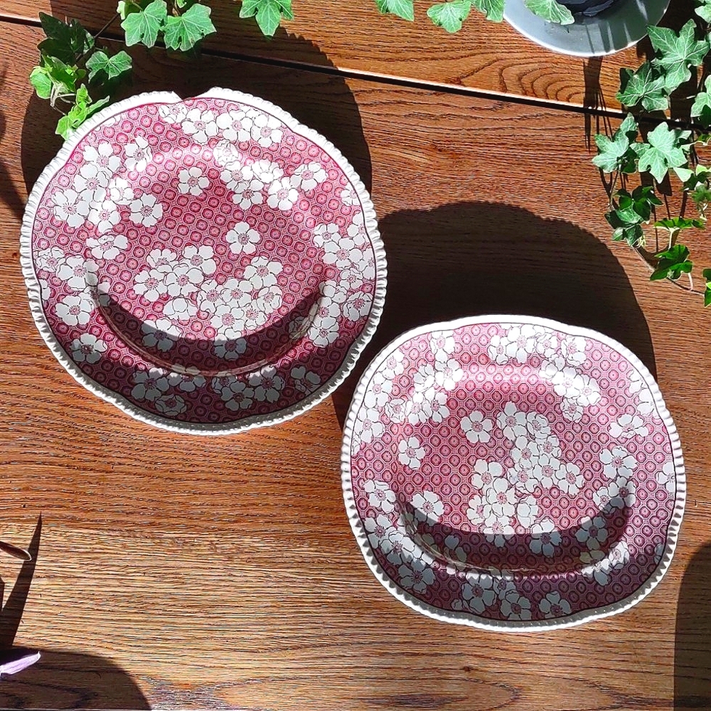 Royal Cauldon Prunus Plates (2)